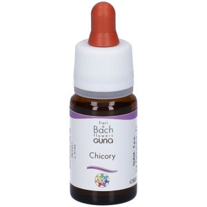Chicory Gun Gocce 10ml Preparazione
