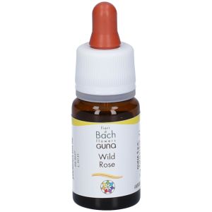 Wild Rose Gun Gocce 10ml Preparazione