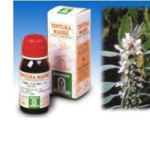 Specchiasol Cardiaca 16 Tintura Madre 50 ml