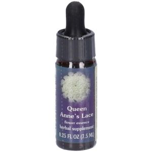 Natur Queen Anne´s Lace Gocce