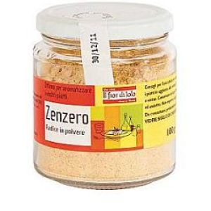 Zenzero In Polvere Bio 100g