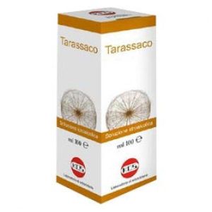 Tarassaco Soluzione Idroalcolica Pianta Fresca 100g