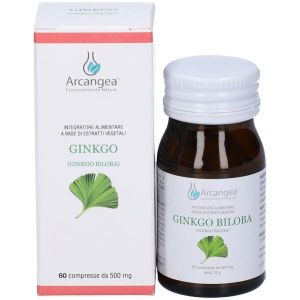 Ginkgo Biloba 60 Capsule 500mg