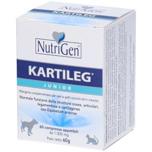 Kartileg Junior 60 Tavolette