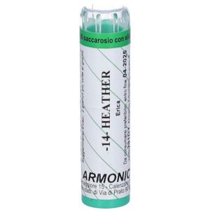 Armonic 14 Heather 70gr