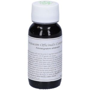 Labor Villa Stoddard 09 N Taraxacum Officinalis Compositum 60ml