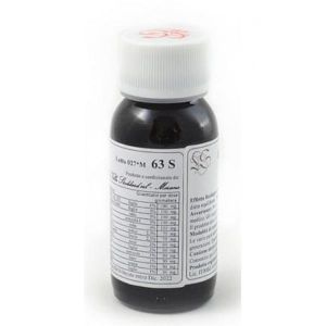 Lvs Ilex Paraguariens Compositum Integratore 60ml