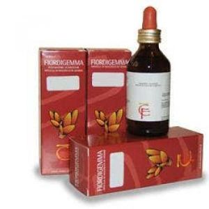 Fibrocento Fiordigemma 100ml