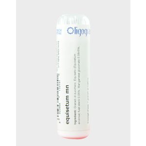 Forza Vitale Equisetum Manganese Medicinale Omeopatico 100 Globuli