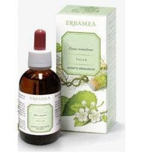 Erbamea Erismo Sommità Fiorite Estratto Idroalcolico 50ml