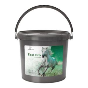 Fastpro Bio-mos per Sistema Immunitario Equini Secchiello 2kg