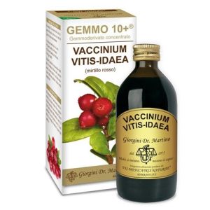 Dr Giorgini Liquido Analcolico Mirtillo Rosso Gemmo 10+ 200ml