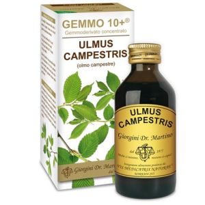 Gemmo 10+ Olmo Campestre 100ml Liquido Analcolico