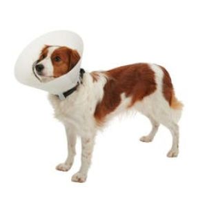 Collare Elisabetta Proficollar Classic Opaco Misura 30 Xxl