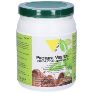 Vital Plus Plantfusion Cacao Polvere Barattolo 454g