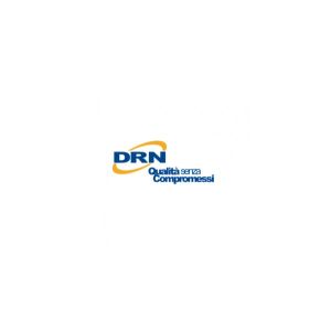 Solo Salmone Drn 300g