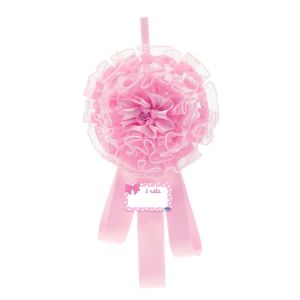 Chicco Annuncio Nascita Fiocco Rosa