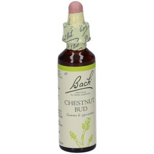Schwabe Fiori di Bach 07 Chestnut Bud Gocce 20ml