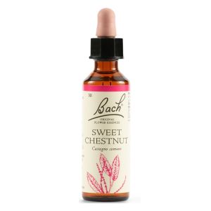 Sweet Chestnut Bach Flowers Original 20 Ml