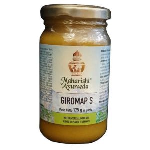 Giromap Unguento da Massaggio 175g