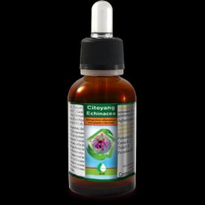 Citoyang Echinacea Gocce 50ml