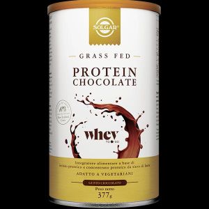 Solgar Protein Chocolate 377g
