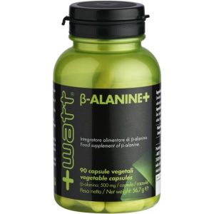 Beta Alanine 90 Capsule