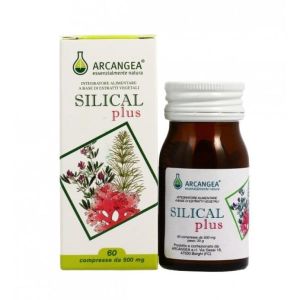 Silical Plus 60 Capsule 600mg