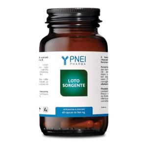 Loto Sorgente 60cps Nf