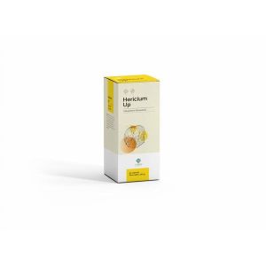 Hericium Up Integratore  Digestivo 90 Capsule