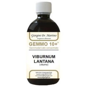 Viburno Liquido Analcolico Gemmo 10+ 500ml