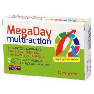 Mega Day Multi Action 30 Compresse