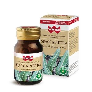 Winter Spaccapietra 30 Compressa