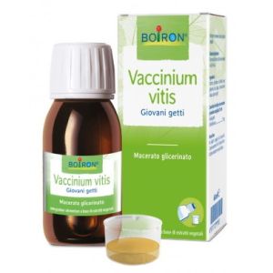 BOIRON VACCINIUM VITIS MG 60ML INT