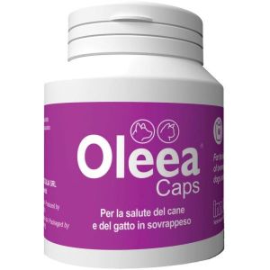 Oleea Caps 60 Capsule