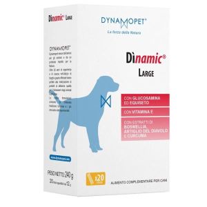 Dinamic Large 20 Stick da 12g