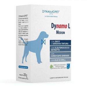 Dinamic Medium 20 Stick da 10g
