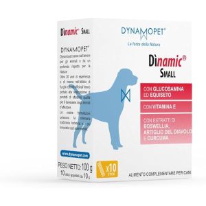Dinamic Small 10 Stick da 10g