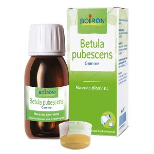 BOIRON BETULA PUBESCENS MG 60ML INT
