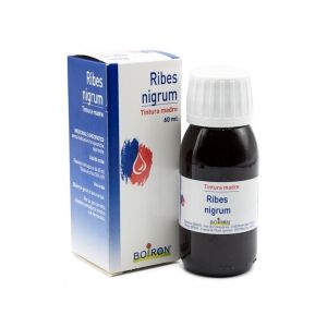 BOIRON RIBES NIGRUM 0TM GT60ML