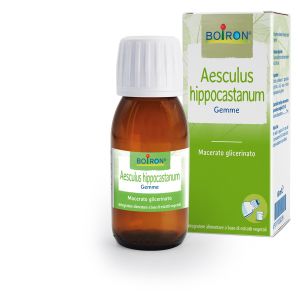 BOIRON AESCULUS HIPPOCA MG 60ML INT