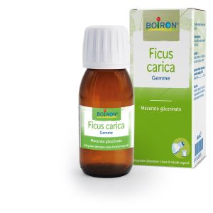BOIRON FICUS CARICA 60ML INT