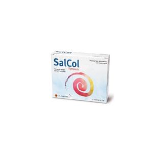 Salcol Integratore Fermenti Lattici 12 Bustine