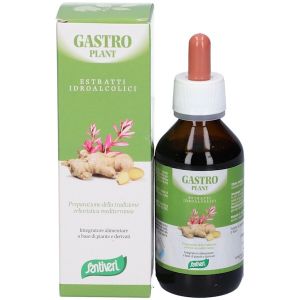 Zef03 Gastro Plant Stv