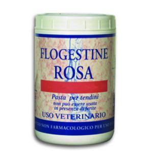 Fm Italia Flogestine Rosa Pasta 1kg