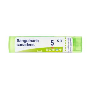 Sanguinaria Canadensis  Boiron  80 Granuli 5 Ch Contenitore Multidose