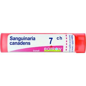 Sanguinaria Canadensis  Boiron  80 Granuli 7 Ch Contenitore Multidose