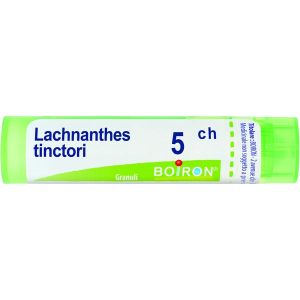 Lachnanthes Tinctoria  Boiron  80 Granuli 5 Ch Contenitore Multidose