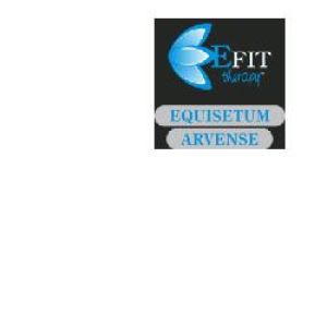 Efit Equisetum Arvense Estratto Fluido 30ml