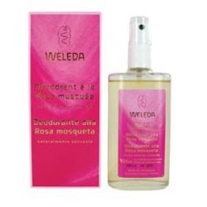 Desodorante rosa mosqueta weleda 100ml